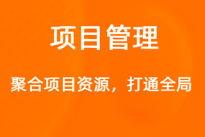OA標(biāo)準(zhǔn)化協(xié)同辦公——項目管理-網(wǎng)站制作