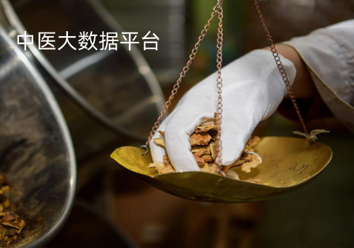 大數(shù)據(jù)-中藥集團(tuán)