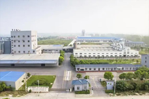 成功簽約金菜地食品股份有限公司-網(wǎng)站制作