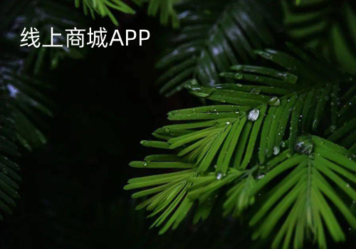 購(gòu)物捷商城