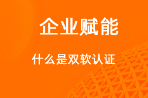什么是雙軟認(rèn)證？享受那些優(yōu)惠政策-網(wǎng)站制作