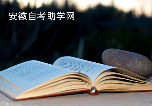安徽自學(xué)助考網(wǎng)站建設(shè)