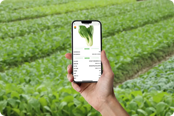 農(nóng)產(chǎn)品溯源知識(shí)你了解多少？他的意義究竟是什么？這篇文章告訴你全部答案-網(wǎng)站制作
