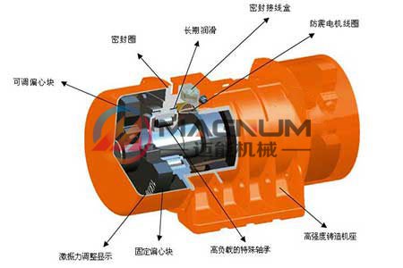 振動篩電機(jī)結(jié)構(gòu)圖 振動篩電機(jī)結(jié)構(gòu)圖